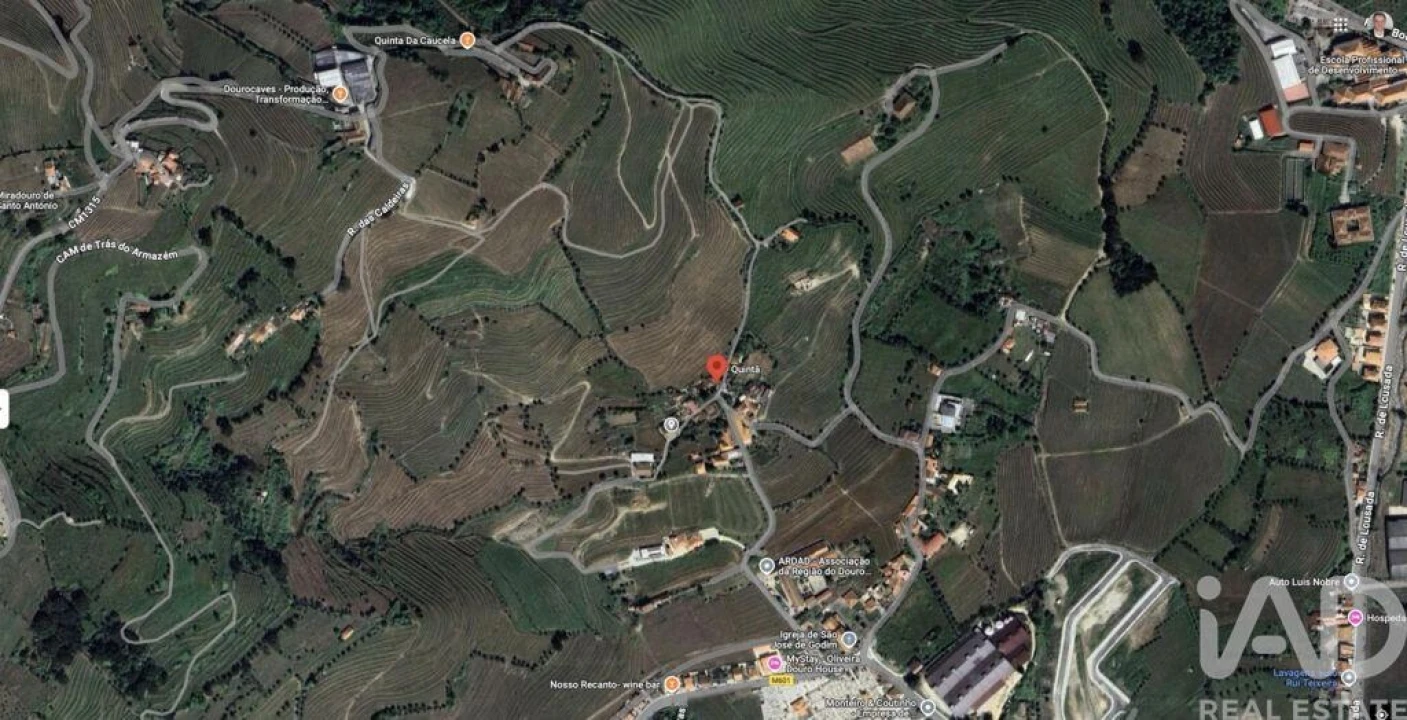 Terreno para Venda em Peso da Régua e Godim Foto 28