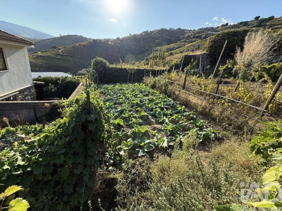 Terreno para Venda em Peso da Régua e Godim Foto 21