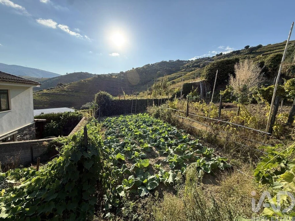 Terreno para Venda em Peso da Régua e Godim Foto 19