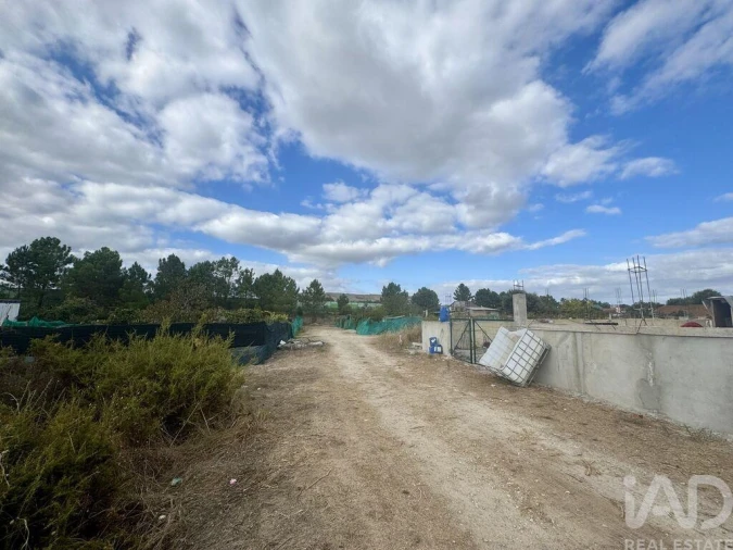 Terreno para Venda em Quinta do Anjo Foto 2
