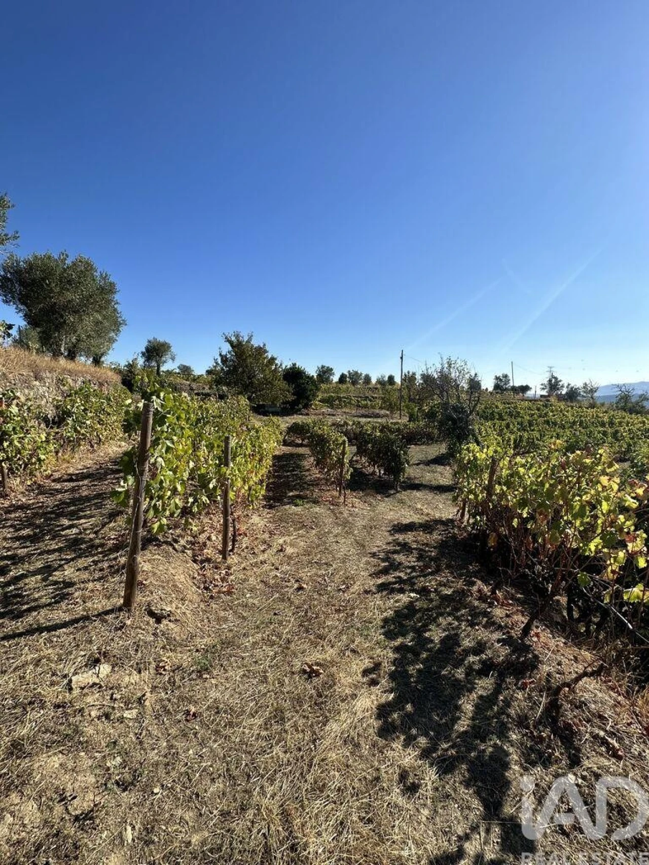 Quinta T3 para Venda em Poiares e Canelas Foto 33