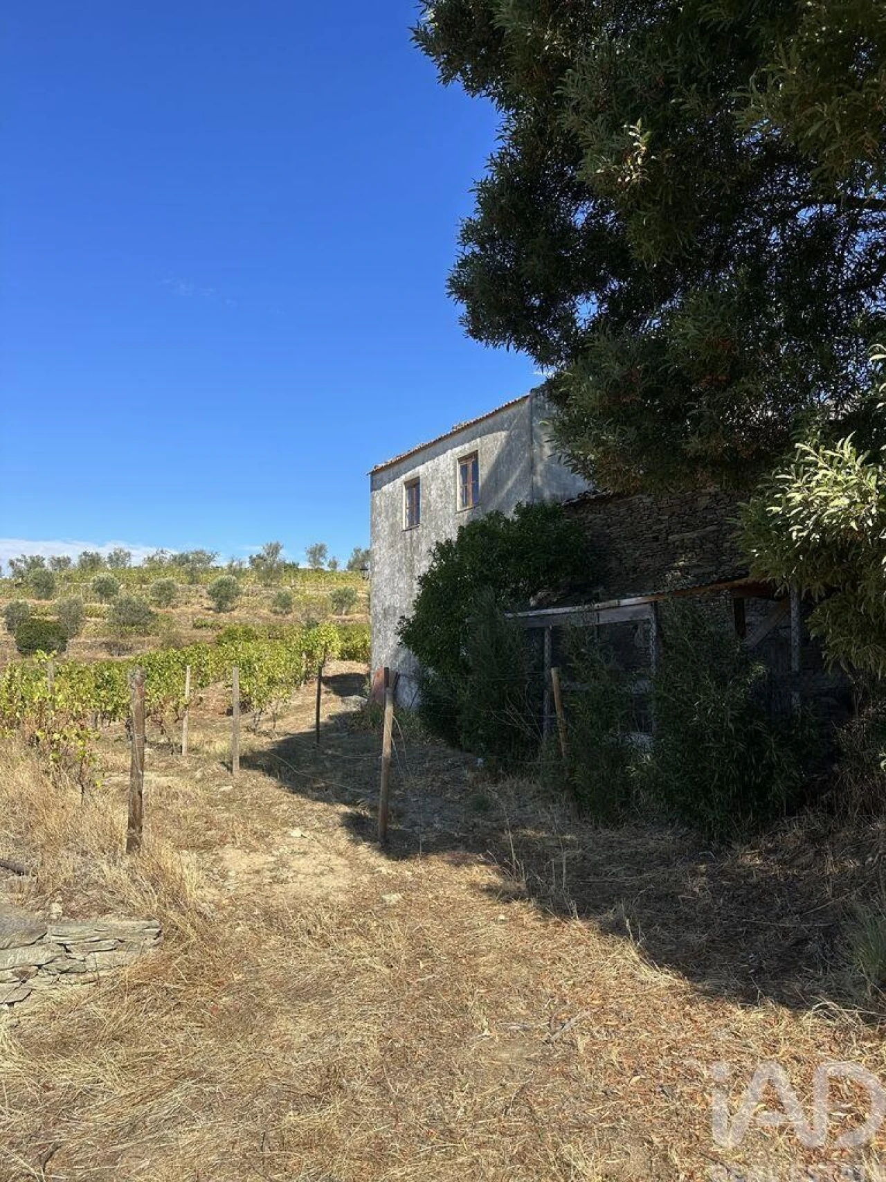 Quinta T3 para Venda em Poiares e Canelas Foto 6