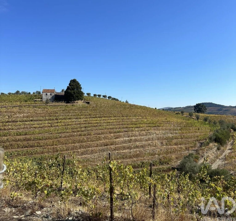 Quinta T3 para Venda em Poiares e Canelas Foto 28