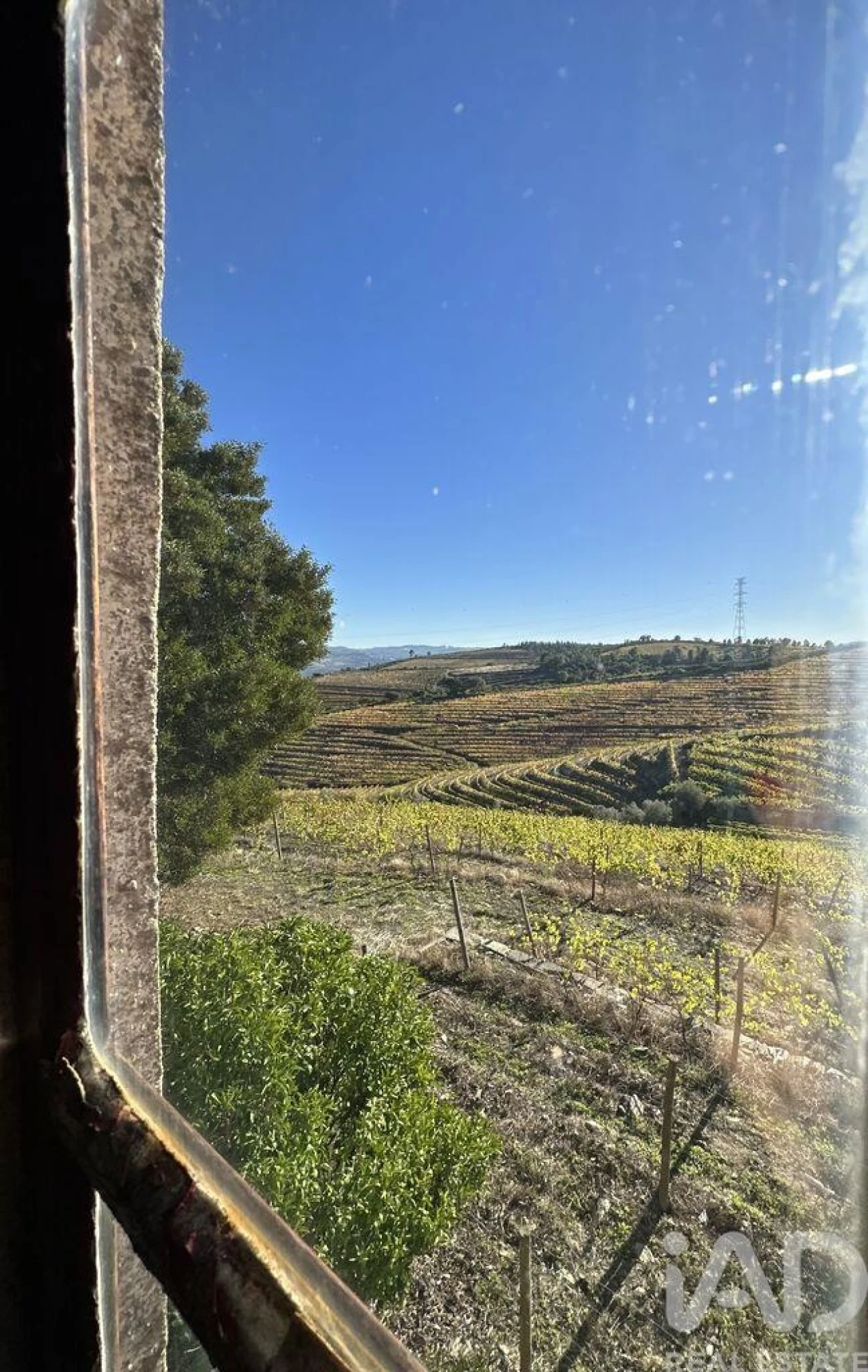 Quinta T3 para Venda em Poiares e Canelas Foto 17