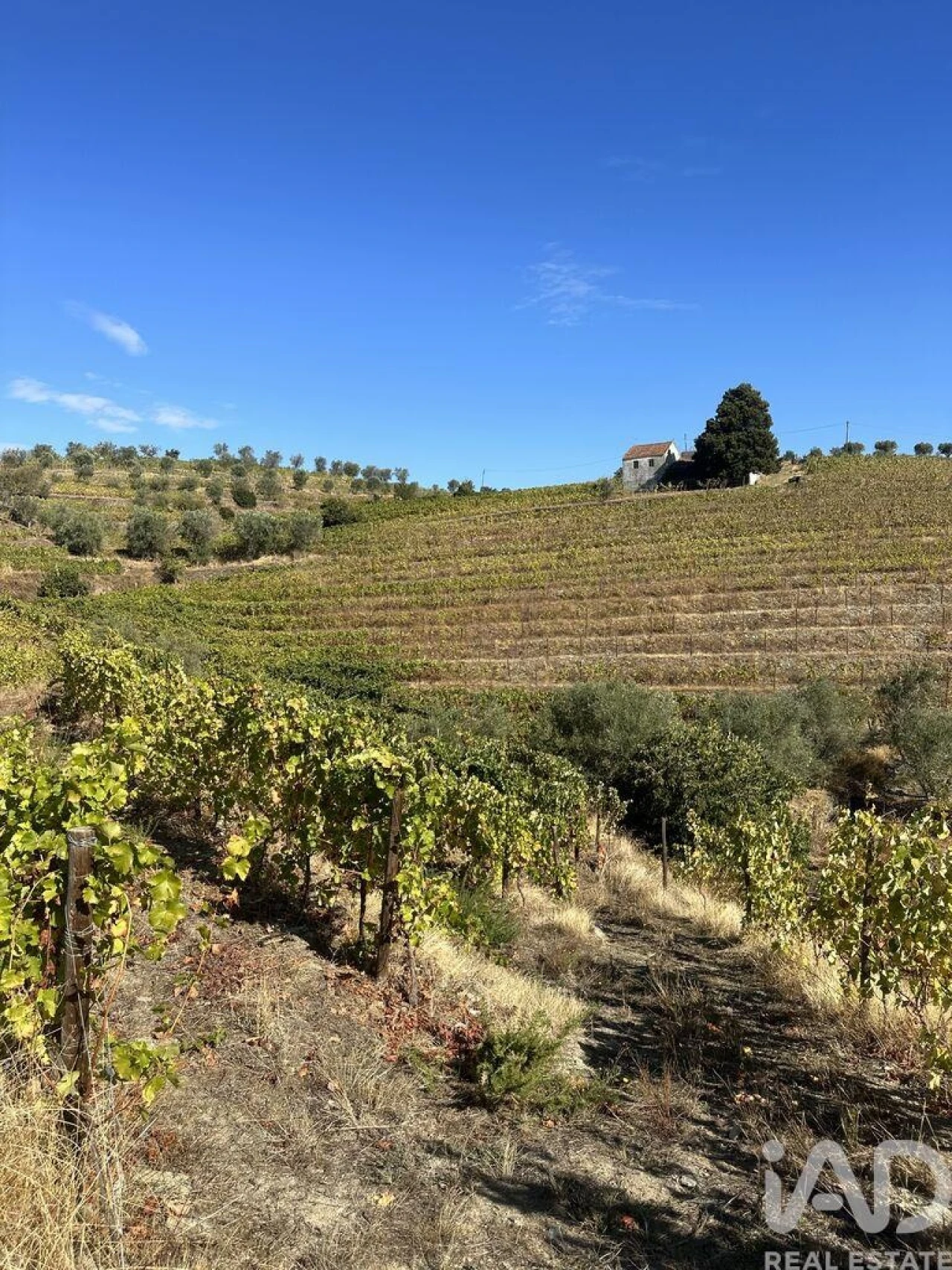 Quinta T3 para Venda em Poiares e Canelas Foto 36