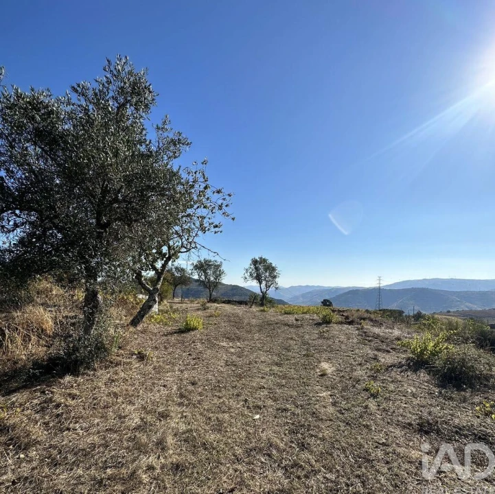 Quinta T3 para Venda em Poiares e Canelas Foto 23