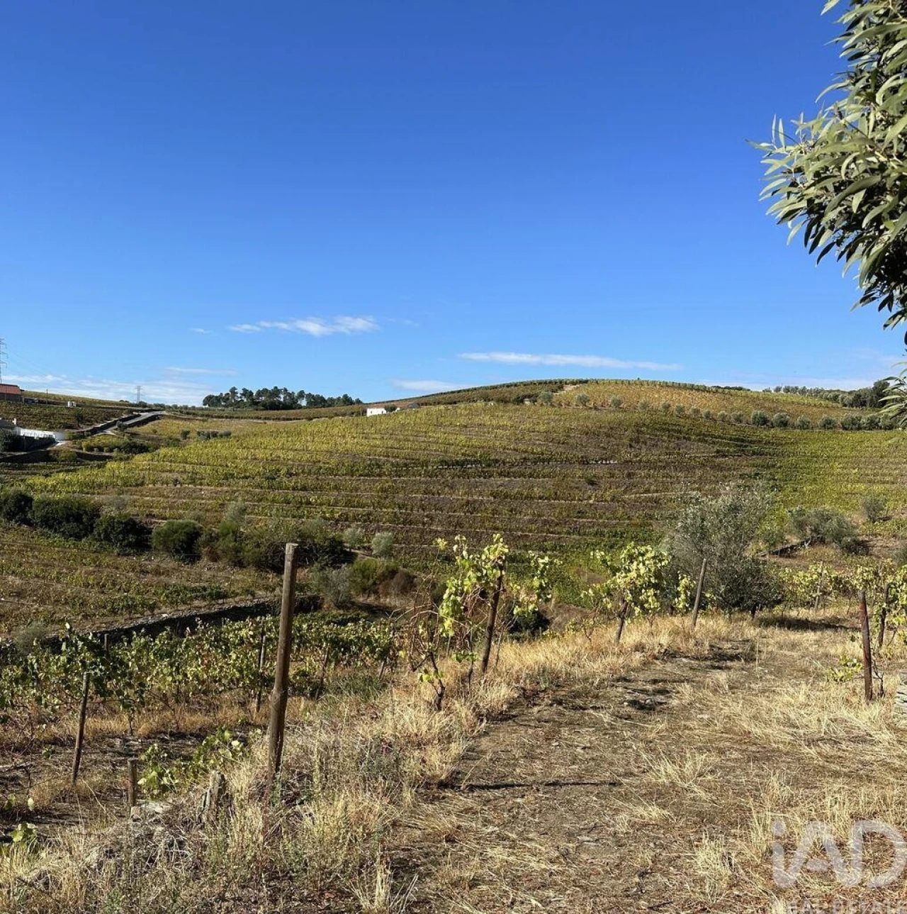 Quinta T3 para Venda em Poiares e Canelas Foto 34