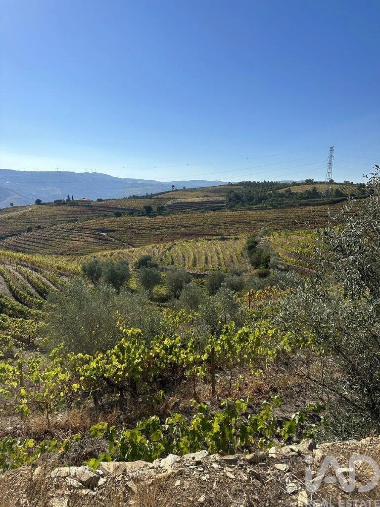 Quinta T3 para Venda em Poiares e Canelas Foto 30