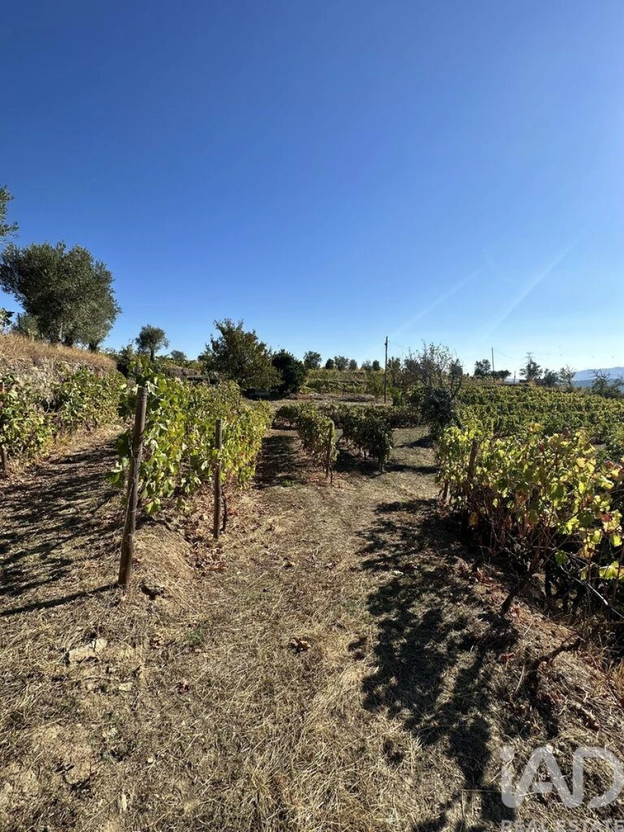 Quinta T3 para Venda em Poiares e Canelas Foto 33
