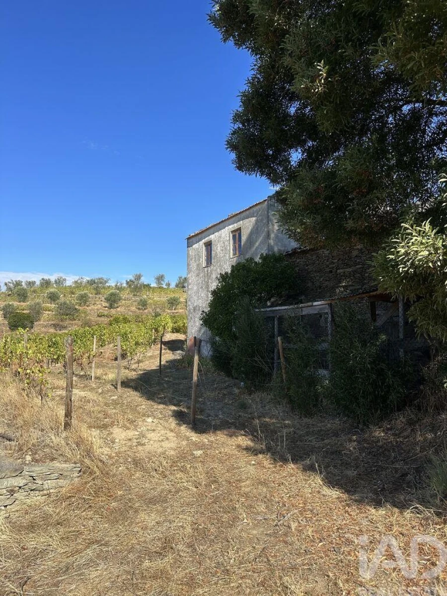 Quinta T3 para Venda em Poiares e Canelas Foto 6