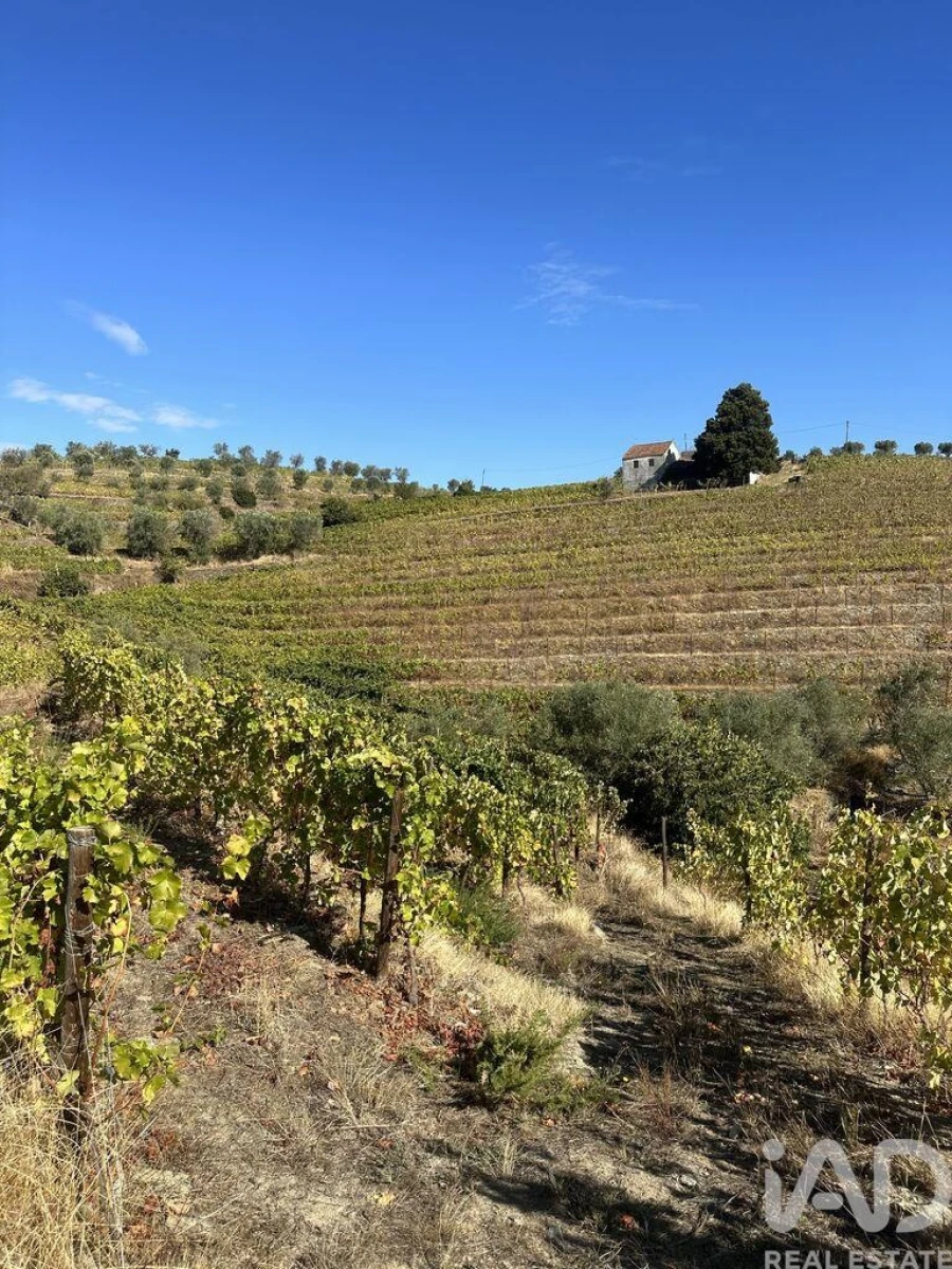 Quinta T3 para Venda em Poiares e Canelas Foto 36