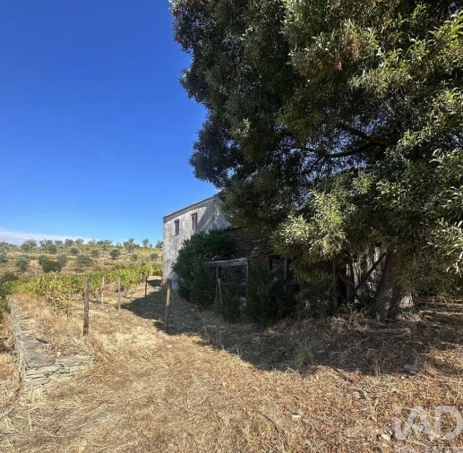 Quinta T3 para Venda em Poiares e Canelas Foto 38