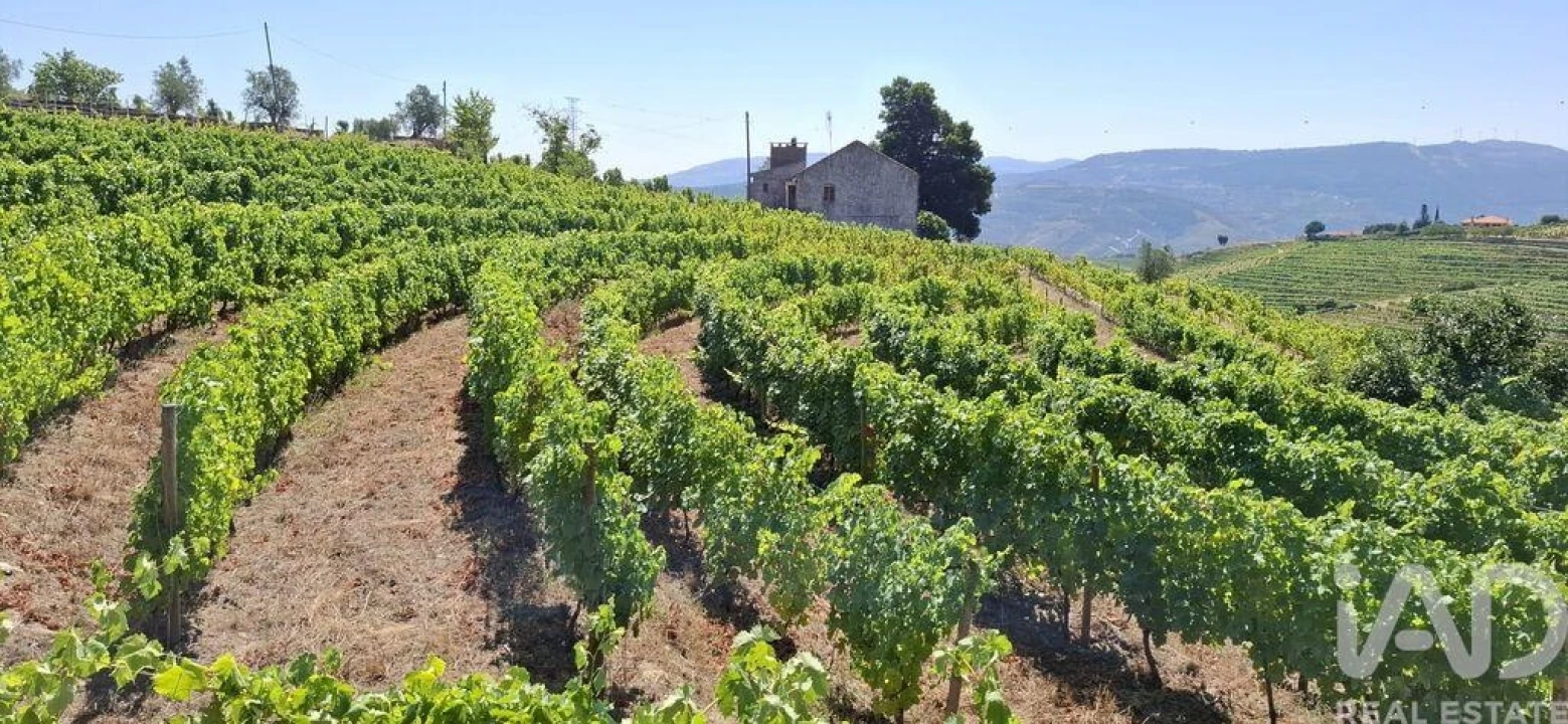 Quinta T3 para Venda em Poiares e Canelas Foto 25