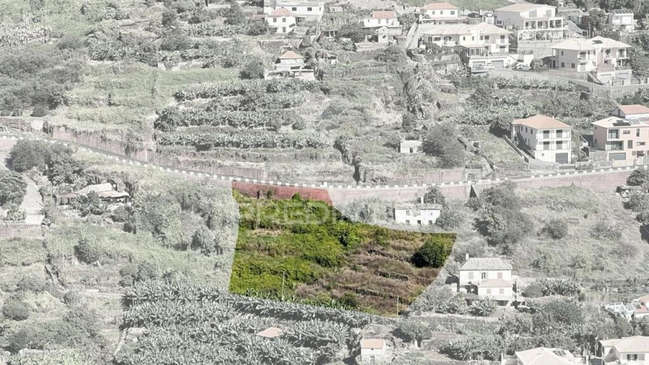 Terreno para Venda em Santa Cruz Foto 1