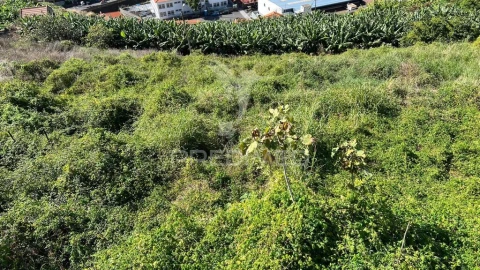 Terreno para Venda em Santa Cruz