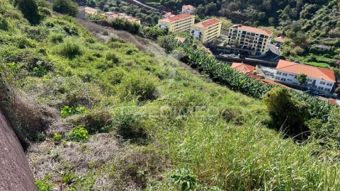 Terreno para Venda em Santa Cruz