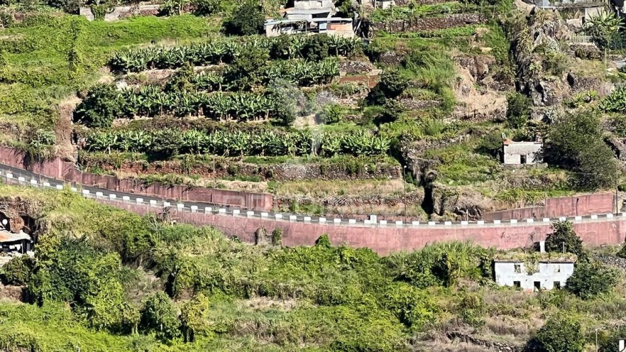 Terreno para Venda em Santa Cruz Foto 12