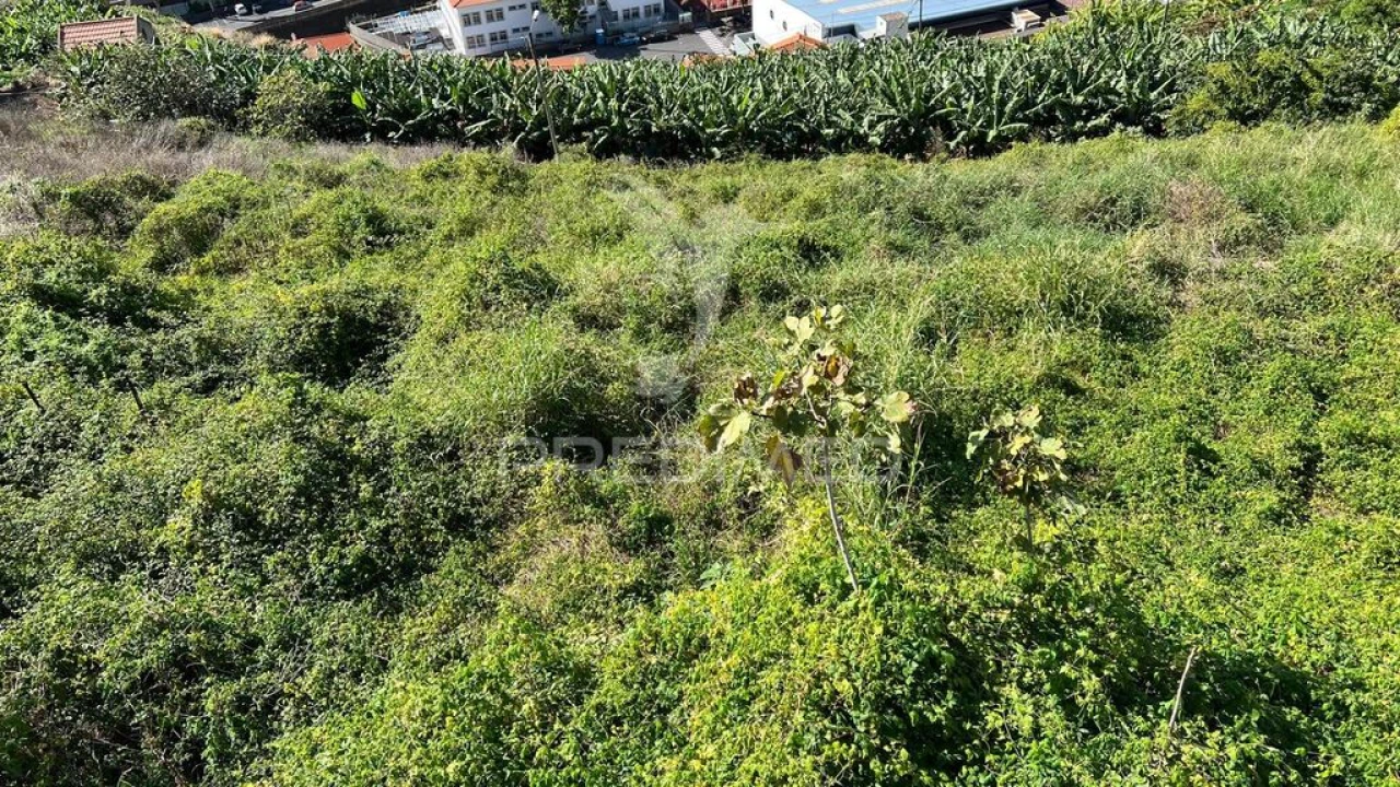 Terreno para Venda em Santa Cruz Foto 15