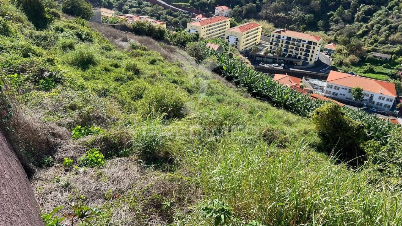 Terreno para Venda em Santa Cruz Foto 16