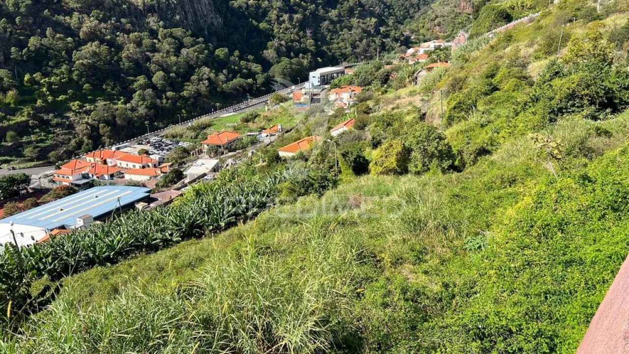 Terreno para Venda em Santa Cruz Foto 19