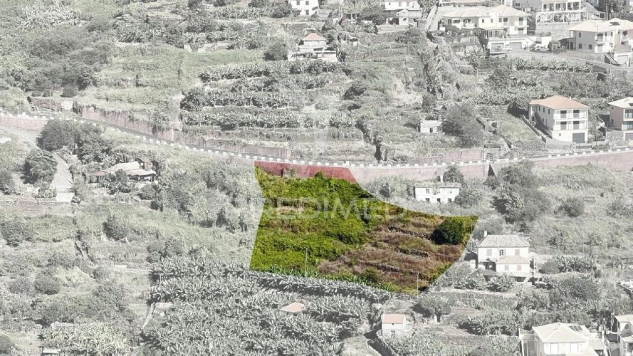Terreno para Venda em Santa Cruz Foto 10