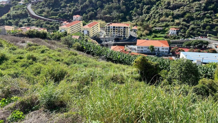Terreno para Venda em Santa Cruz Foto 17