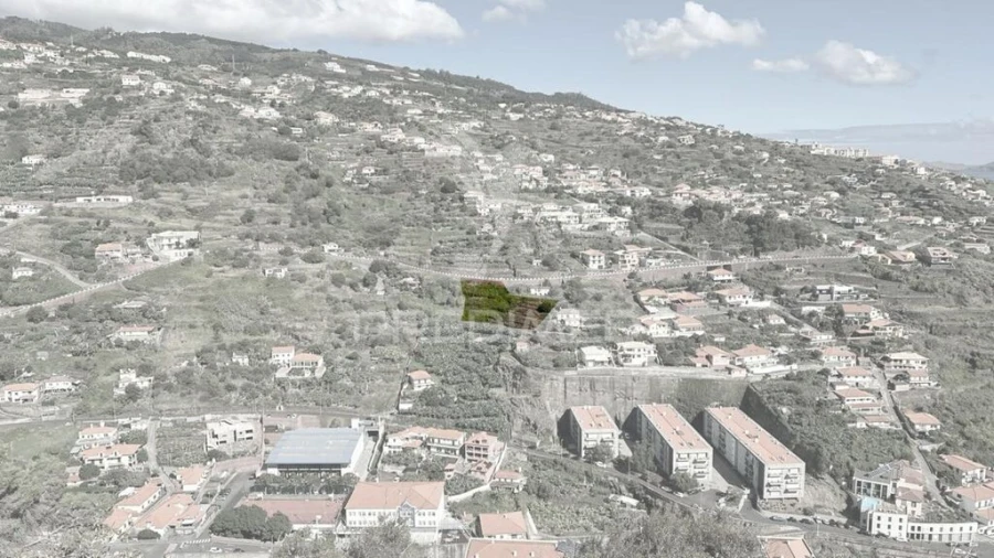 Terreno para Venda em Santa Cruz Foto 13