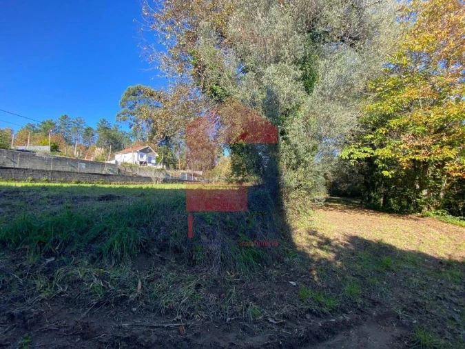 Terreno para Venda em Pico Foto 9