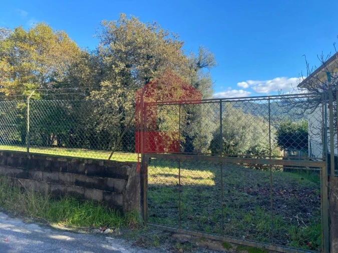 Terreno para Venda em Pico Foto 19