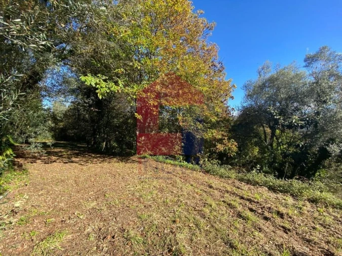 Terreno para Venda em Pico Foto 10
