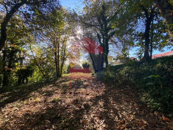 Terreno para Venda em Pico Foto 17
