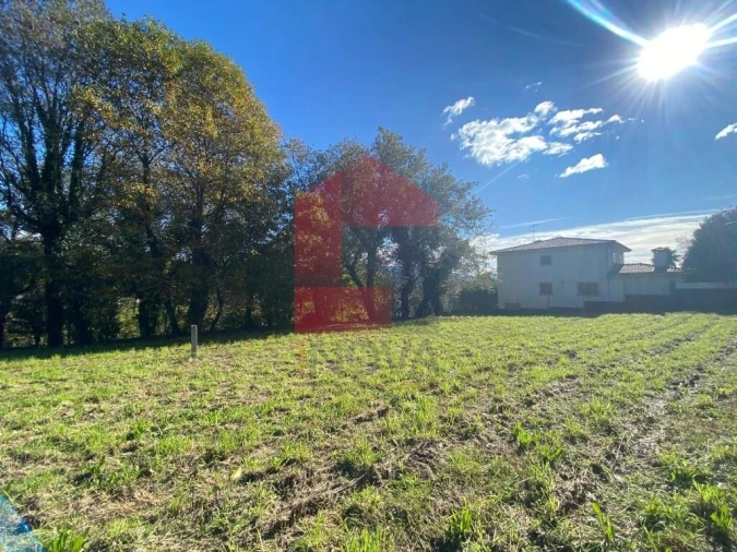 Terreno para Venda em Pico Foto 4