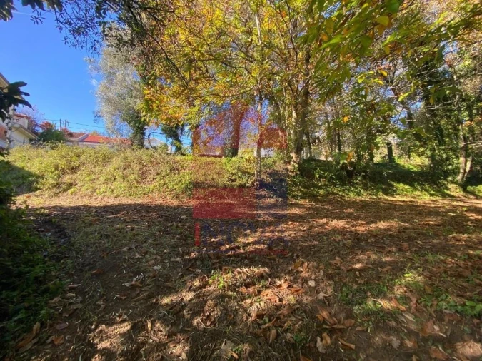 Terreno para Venda em Pico Foto 16