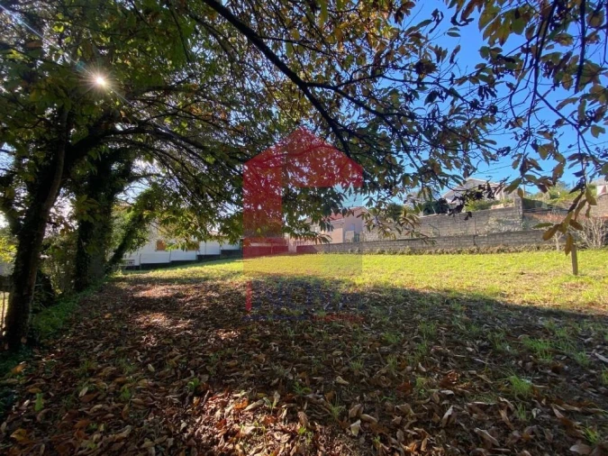 Terreno para Venda em Pico Foto 14