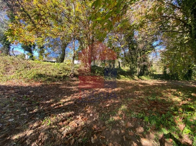 Terreno para Venda em Pico Foto 15