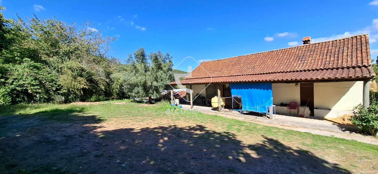 Quinta T3 para Venda em Calvelo Foto 9