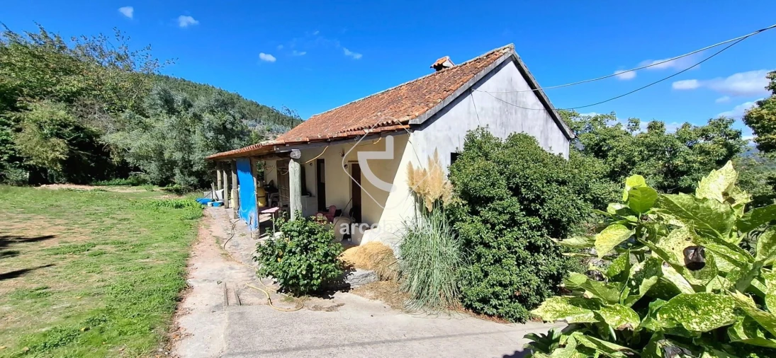 Quinta T3 para Venda em Calvelo Foto 8