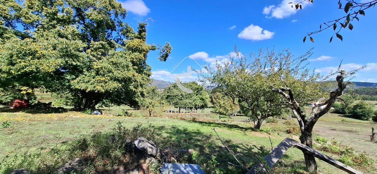 Quinta T3 para Venda em Calvelo Foto 18