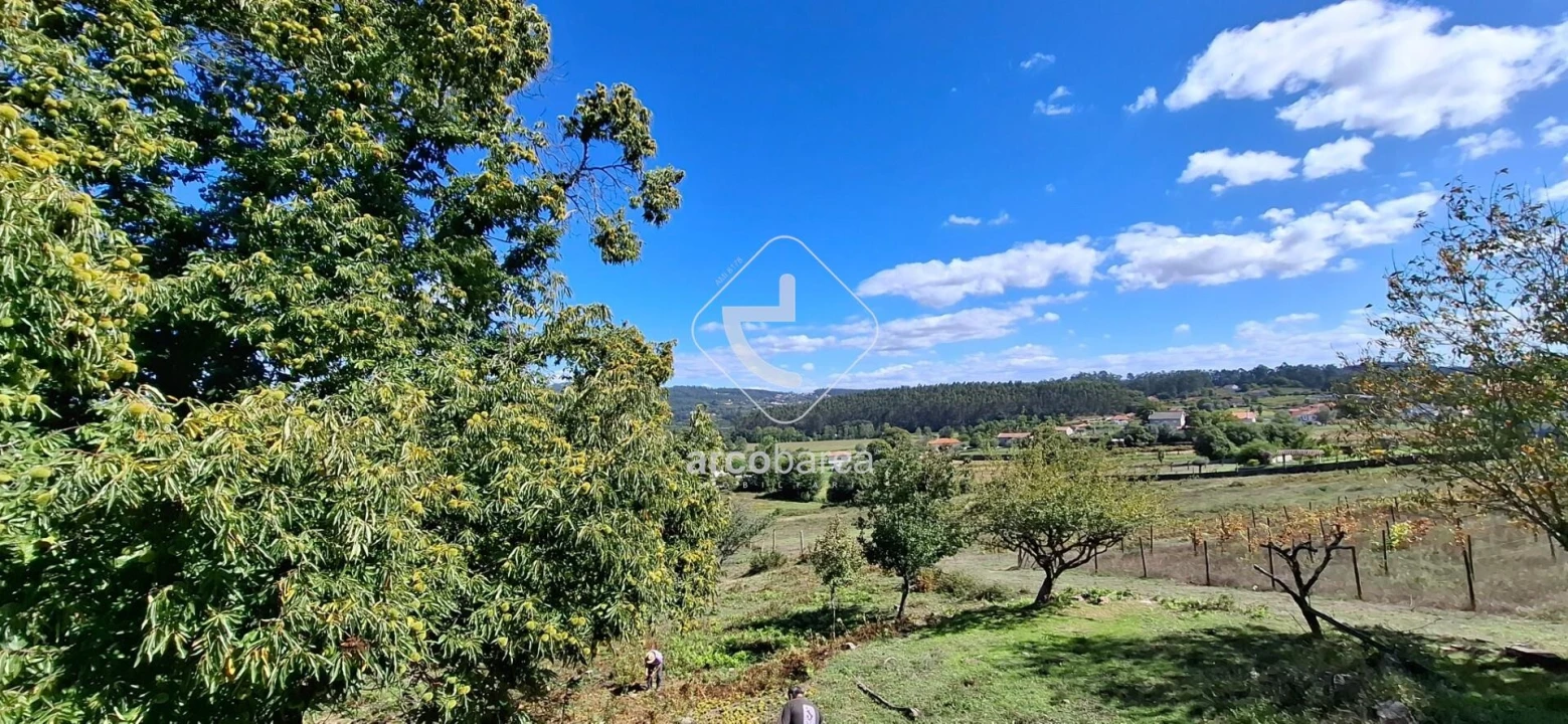 Quinta T3 para Venda em Calvelo Foto 32