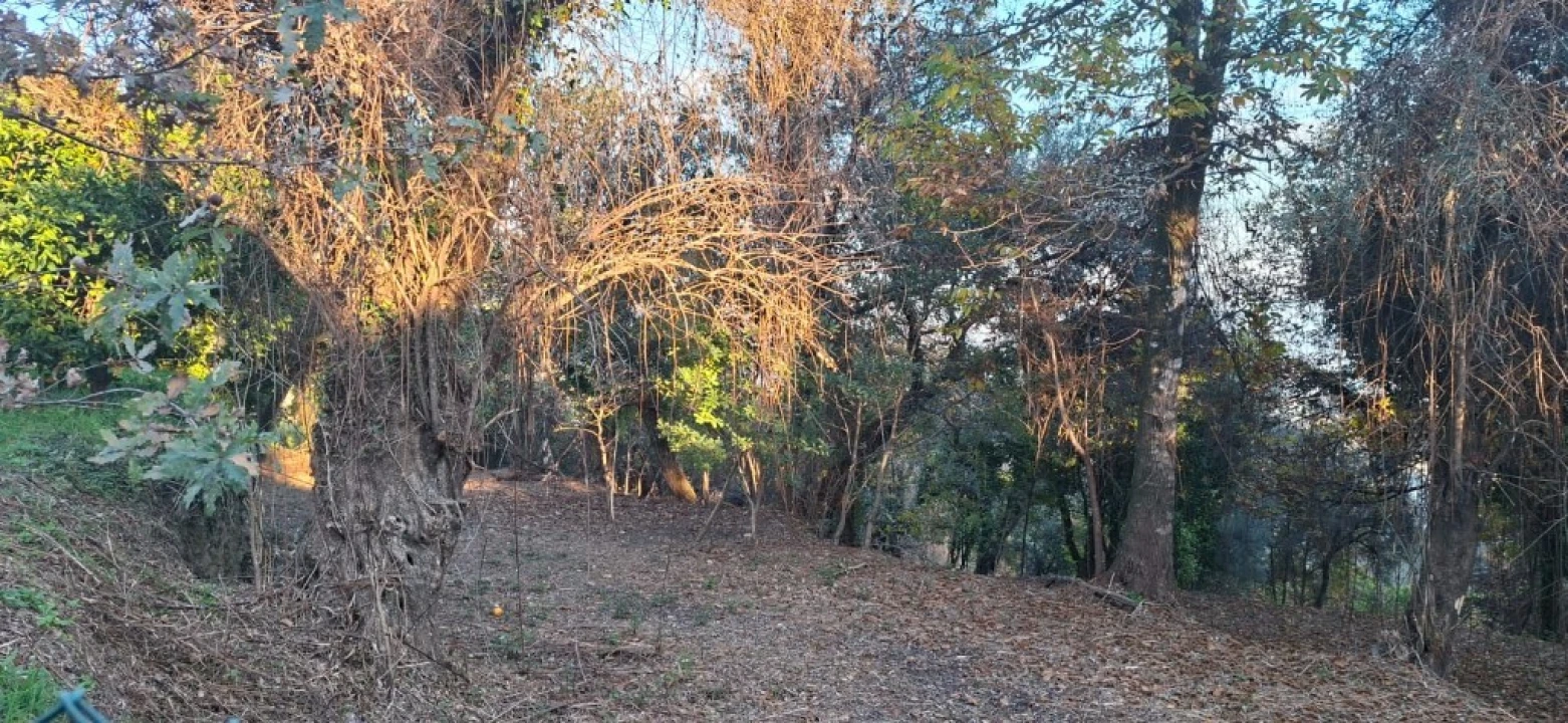 Terreno para Venda em Vilela, Seramil e Paredes Secas Foto 18