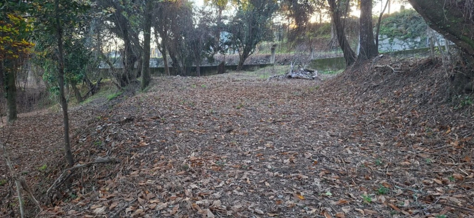 Terreno para Venda em Vilela, Seramil e Paredes Secas Foto 13