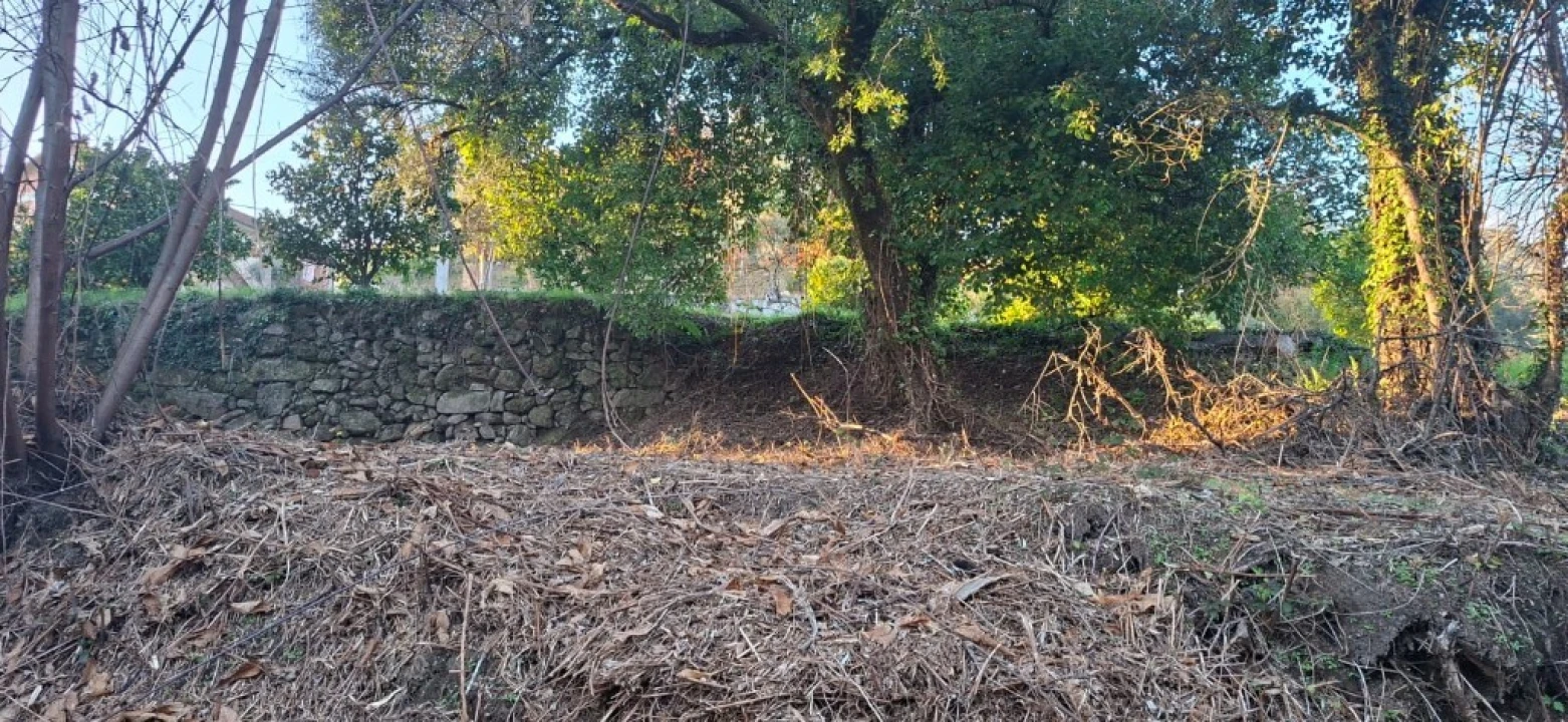 Terreno para Venda em Vilela, Seramil e Paredes Secas Foto 12