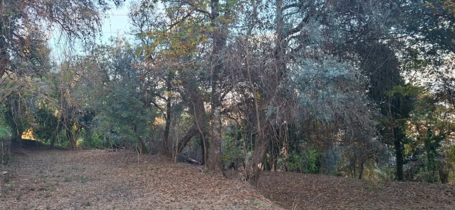 Terreno para Venda em Vilela, Seramil e Paredes Secas Foto 27