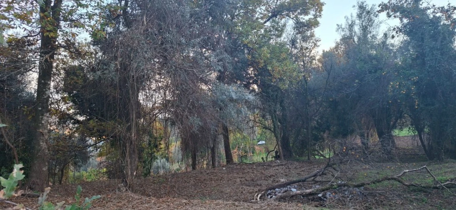 Terreno para Venda em Vilela, Seramil e Paredes Secas Foto 26
