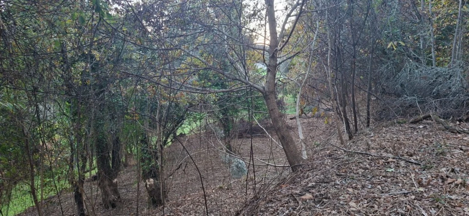 Terreno para Venda em Vilela, Seramil e Paredes Secas Foto 29