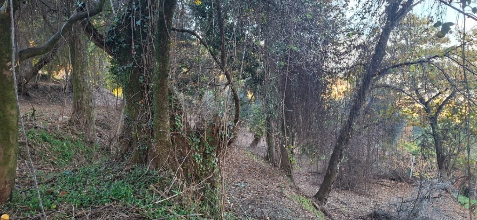 Terreno para Venda em Vilela, Seramil e Paredes Secas Foto 33