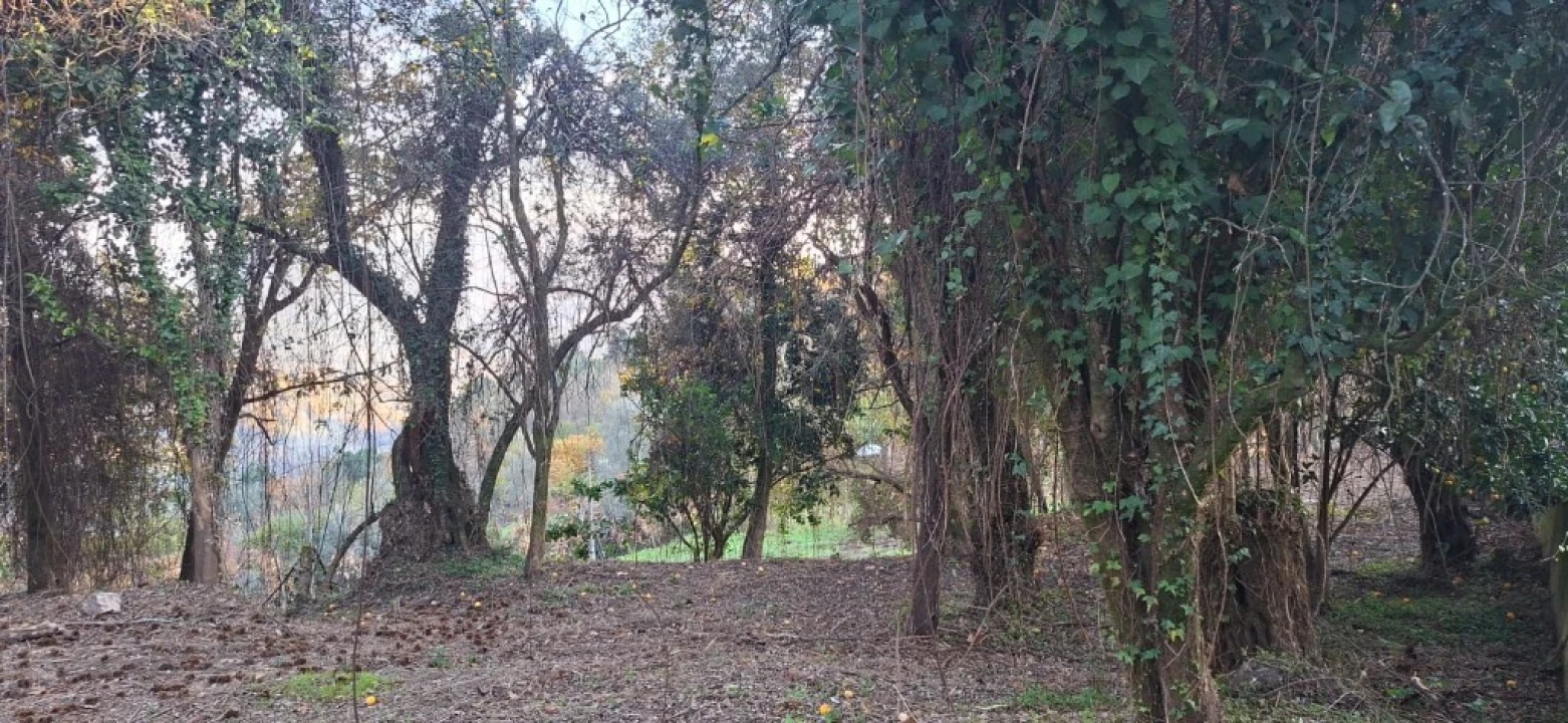 Terreno para Venda em Vilela, Seramil e Paredes Secas Foto 24