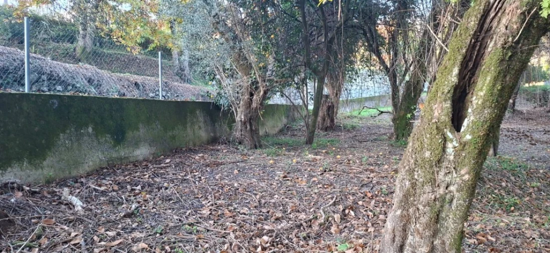 Terreno para Venda em Caldelas, Sequeiros e Paranhos Foto 31