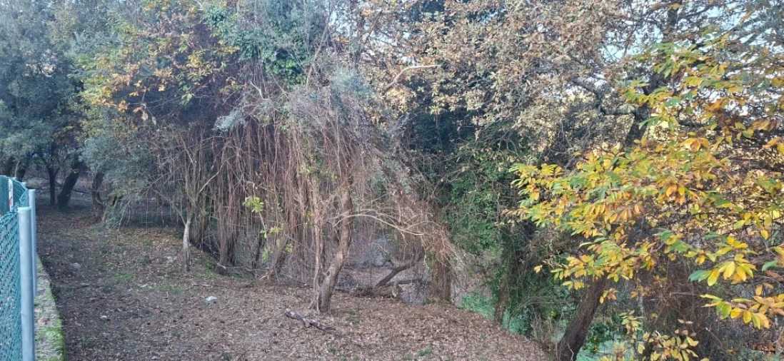Terreno para Venda em Caldelas, Sequeiros e Paranhos Foto 20