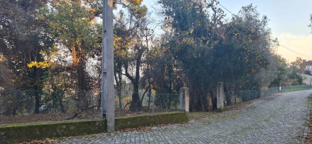Terreno para Venda em Caldelas, Sequeiros e Paranhos Foto 5
